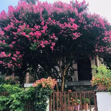 With A View Of Meteora