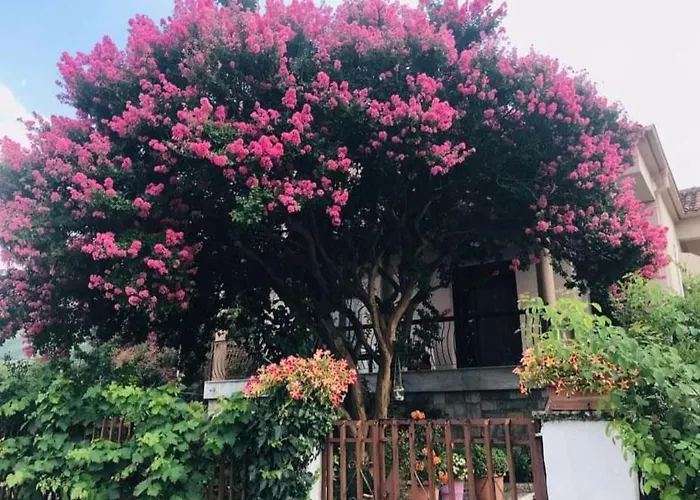 With A View Of Meteora