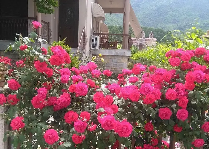 With A View Of Meteora דירה Diava